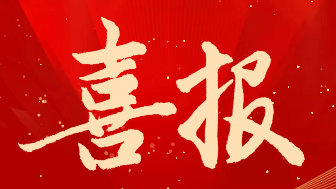 无锡市集成电路学会喜获2025年度市级社会组织高质量发展案例